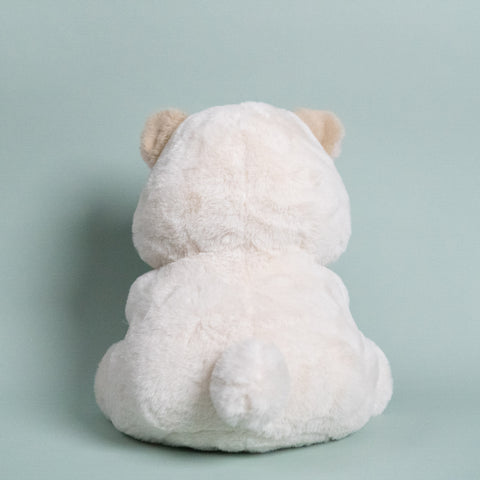 Arctic Bear Cub